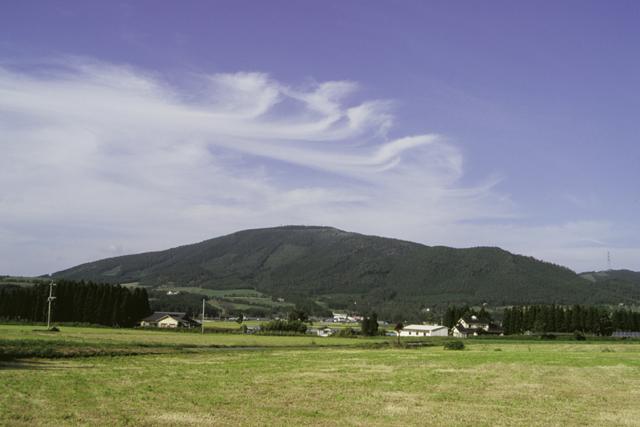 Handa kogen