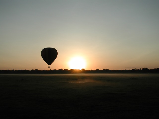 Masai Mara N. R., Kenya