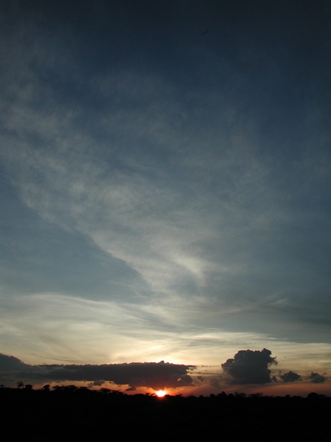 Masai Mara N. R., Kenya