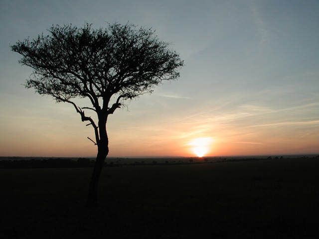 Masai Mara N. R., Kenya