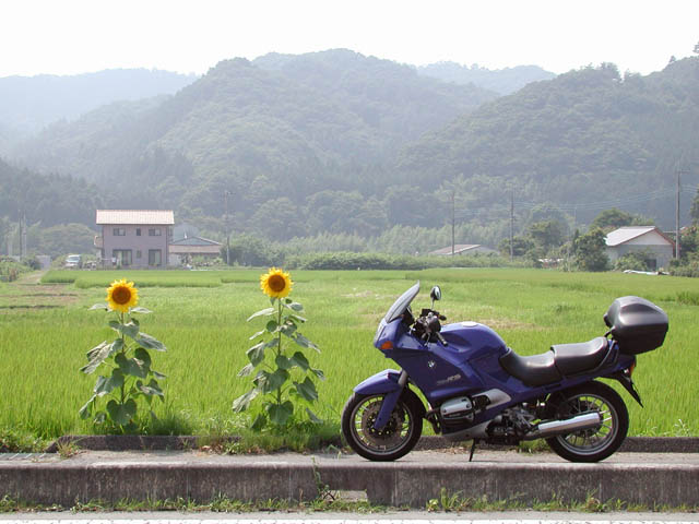 茨城県県道33 水府村