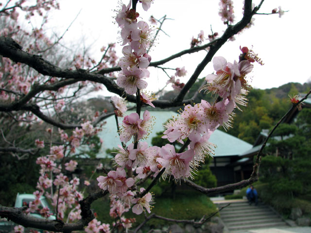 Jomyoji temple