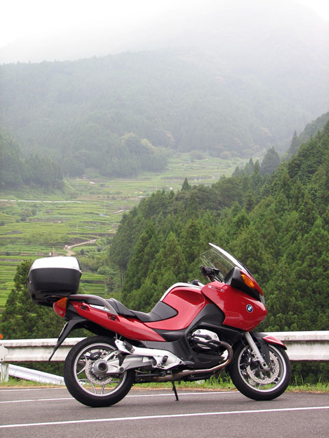 Yotsuya rice terraces