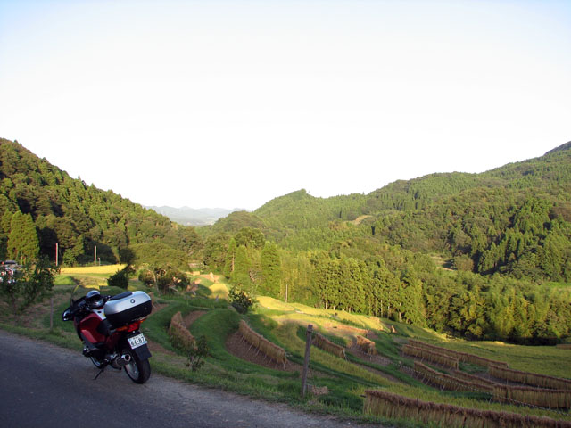 Oyama rice terraces