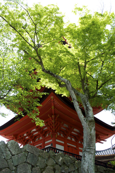 Itsukushima shrine