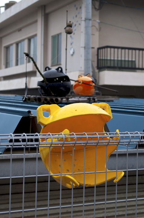 Naoshima fisheries cooperative