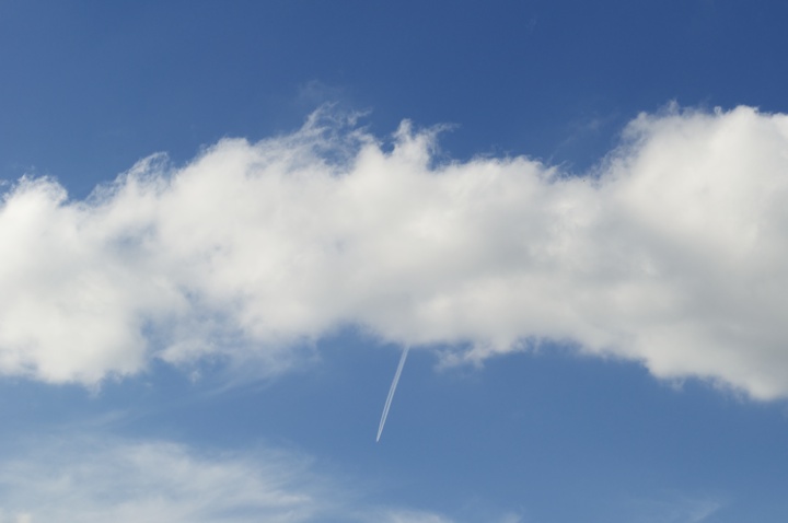 from Fuji pines park