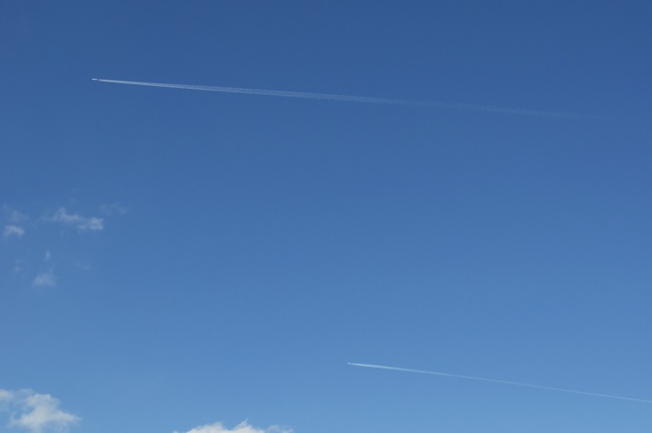 from Fuji pines park