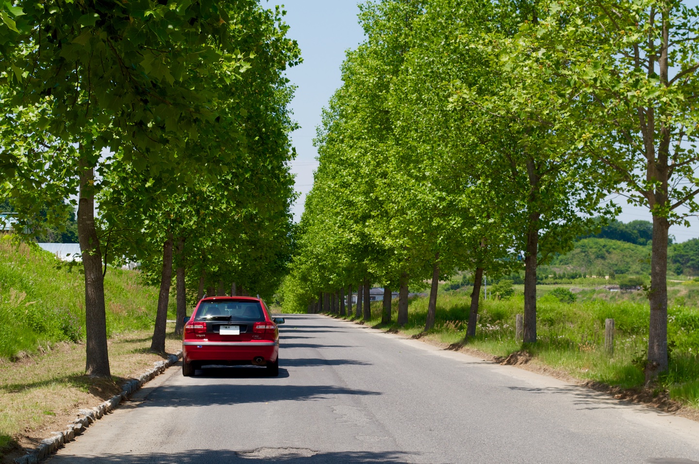 Miharu Herb Hana Garden