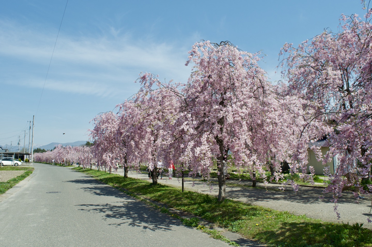 Nicchu-line Memorial Bicycle & Pedestrian Road