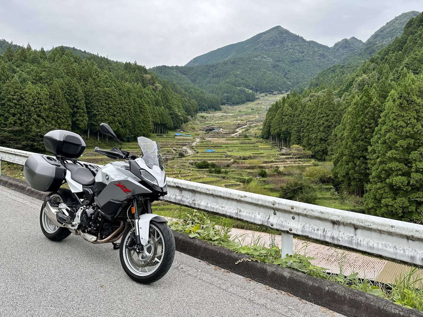 Yotsuya rice terraces